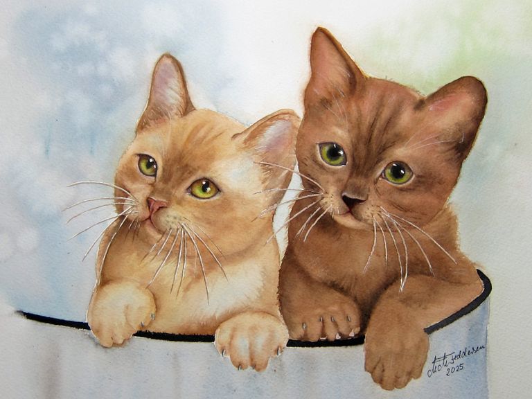 32 x42 cm